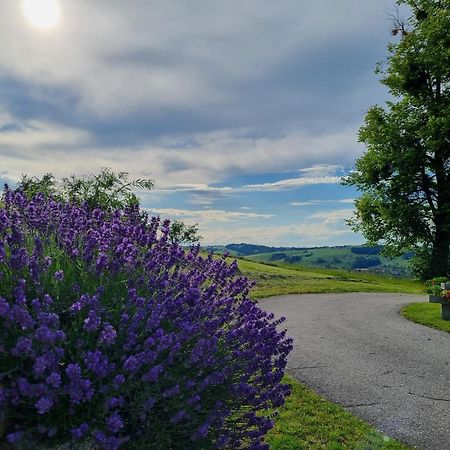 Unterbrandlberg Leilighet Steinbach an der Steyr Eksteriør bilde