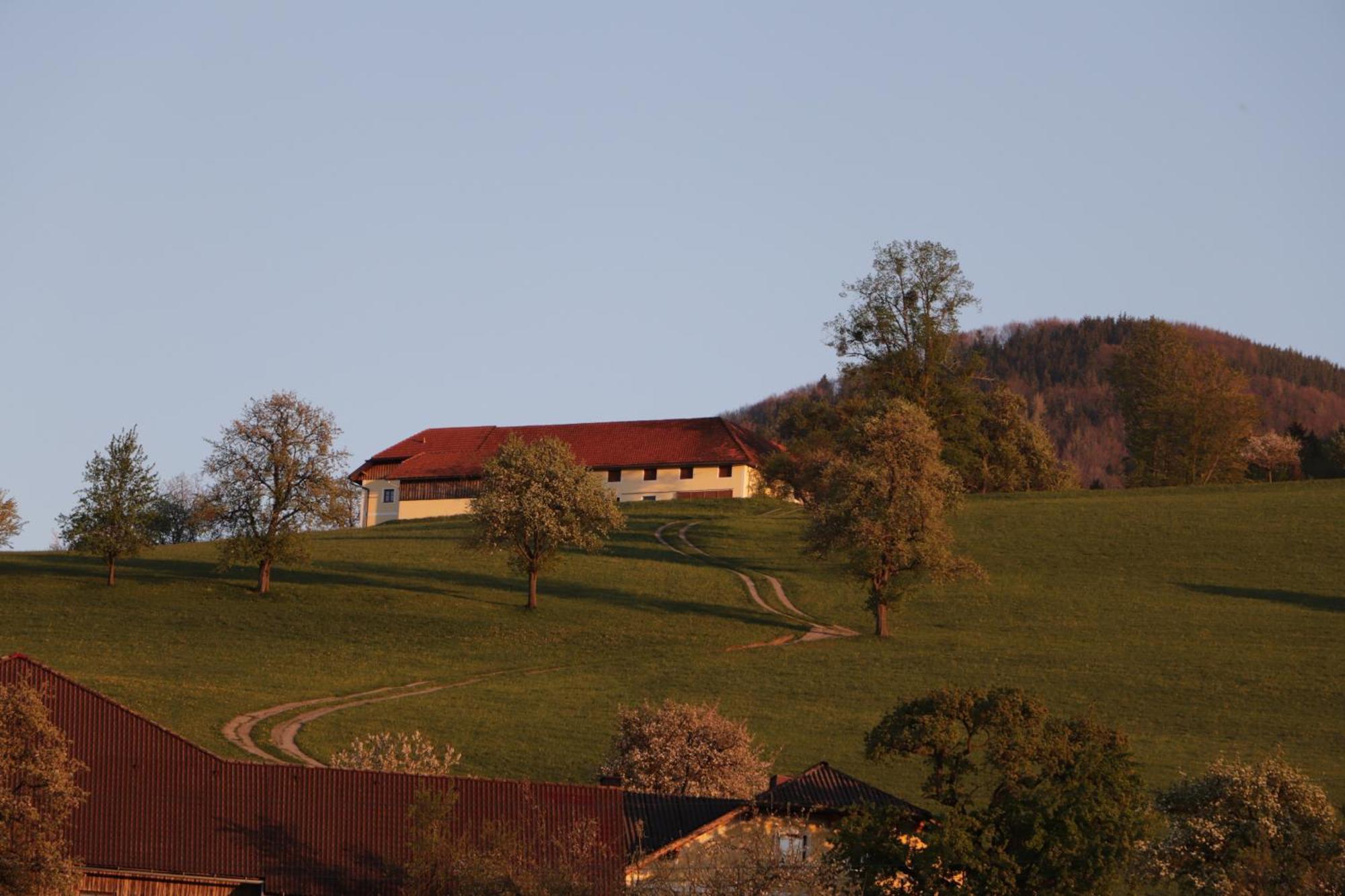 Unterbrandlberg Leilighet Steinbach an der Steyr Eksteriør bilde
